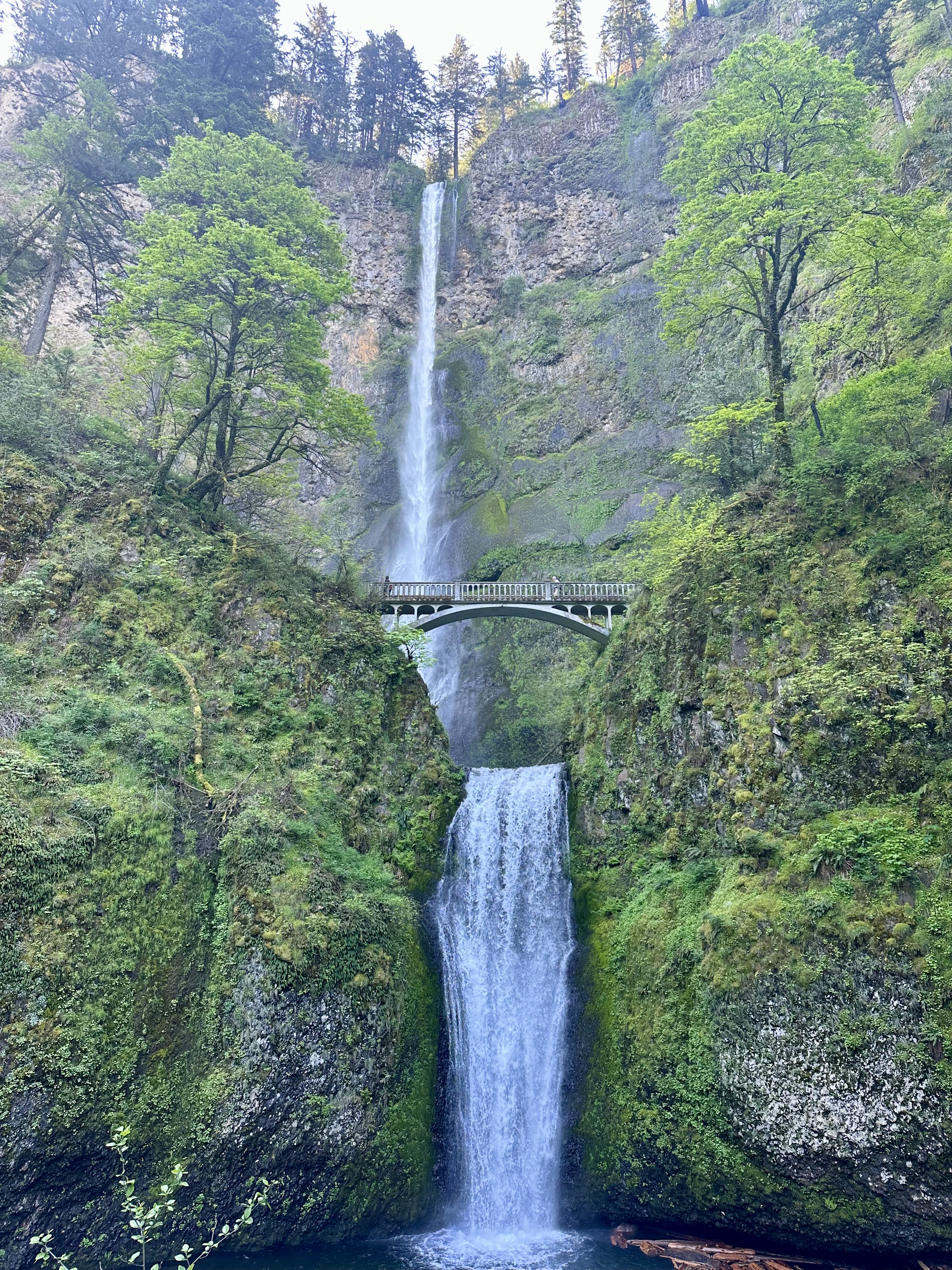 Multnomah Falls in Oregon